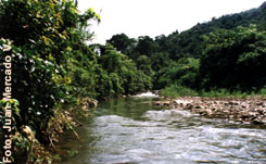 Río San Carlos