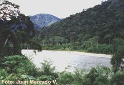 Río Tambopata
