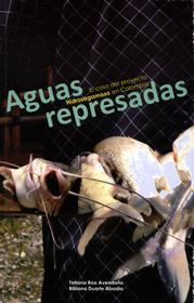 Aguas represadas